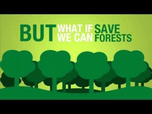 eco-insulation eco-friendly insulation save trees eco insulation