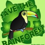 eco-insulation save-our-forests