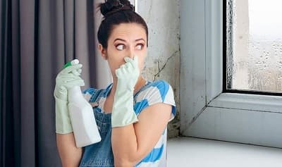 Harmful effects of mould in the home