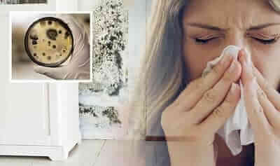 Lady blowing her nose because of moist damp air damage in the house