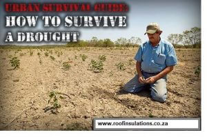 surviving a drought