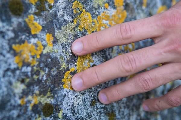 mold on the walls, a sign of a badly insulated home