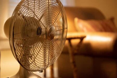 A fan