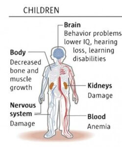 Lead poison harmful affects